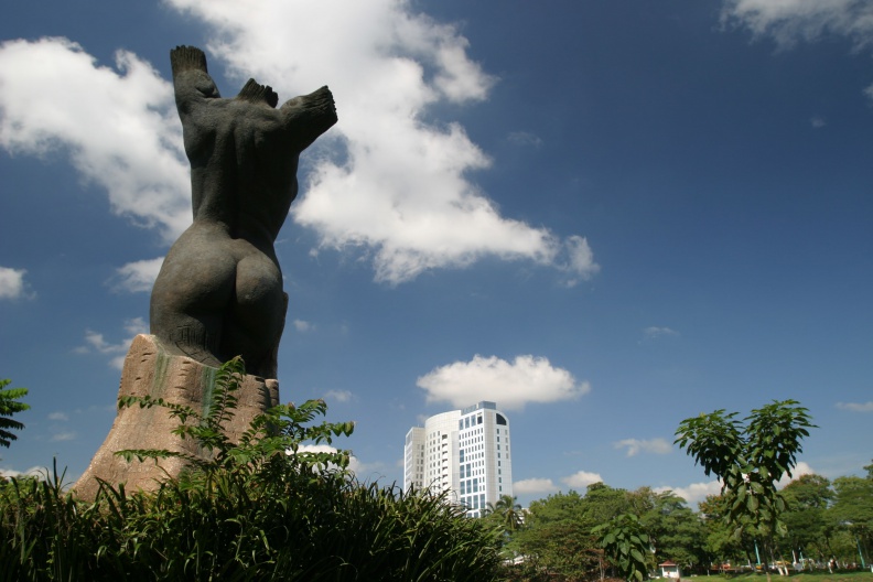 La Mujer Ceiba